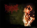 REGURGITATE wallpaper2